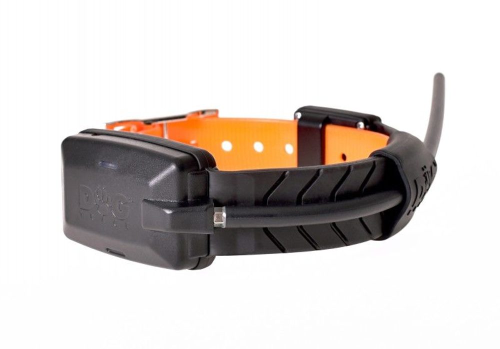 Obojek pro dalšího psa DOG GPS X20 - oranžová | P36116