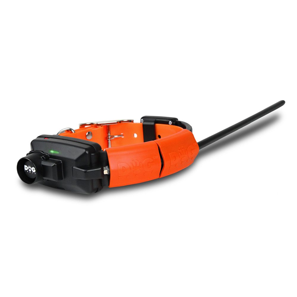 Obojek pro dalšího psa DOG GPS X25B - orange | P54316