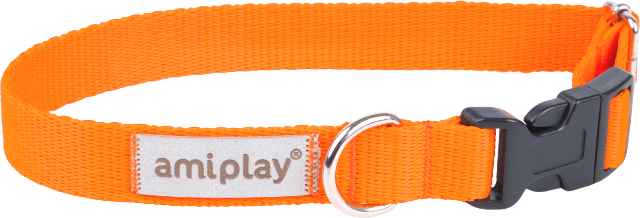 Obojek pro psy Amiplay Samba nastavitelný oranžový L 35–50 cm × 2,5 cm