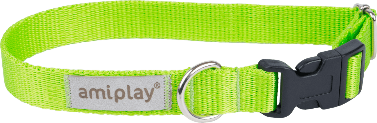 Obojek pro psy Amiplay Samba nastavitelný zelený L 35–50 cm × 2,5 cm