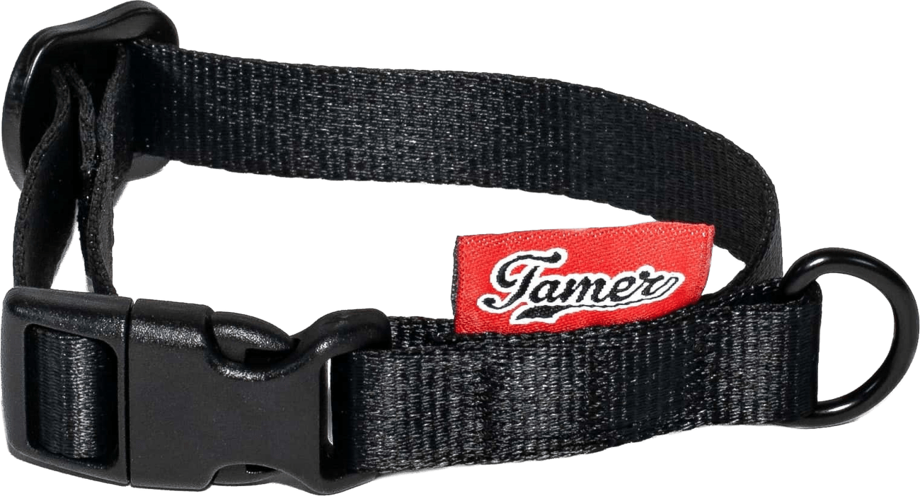 Obojek Tamer Simple 1,5 cm 18-27 cm černý