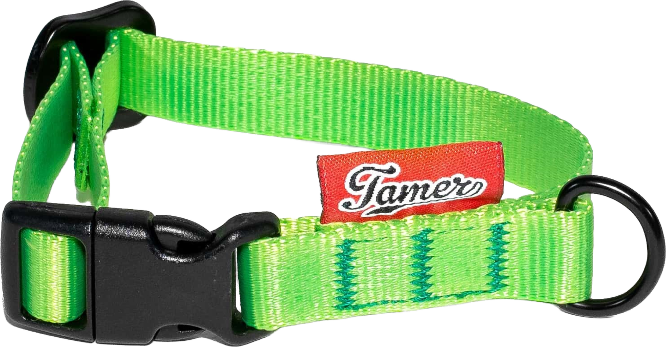 Obojek Tamer Simple 1,5 cm 18-27 cm zelený