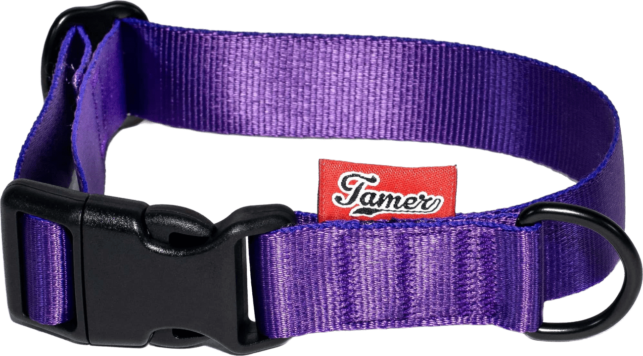 Obojek Tamer Simple 2,5 cm 28-43 cm fialový