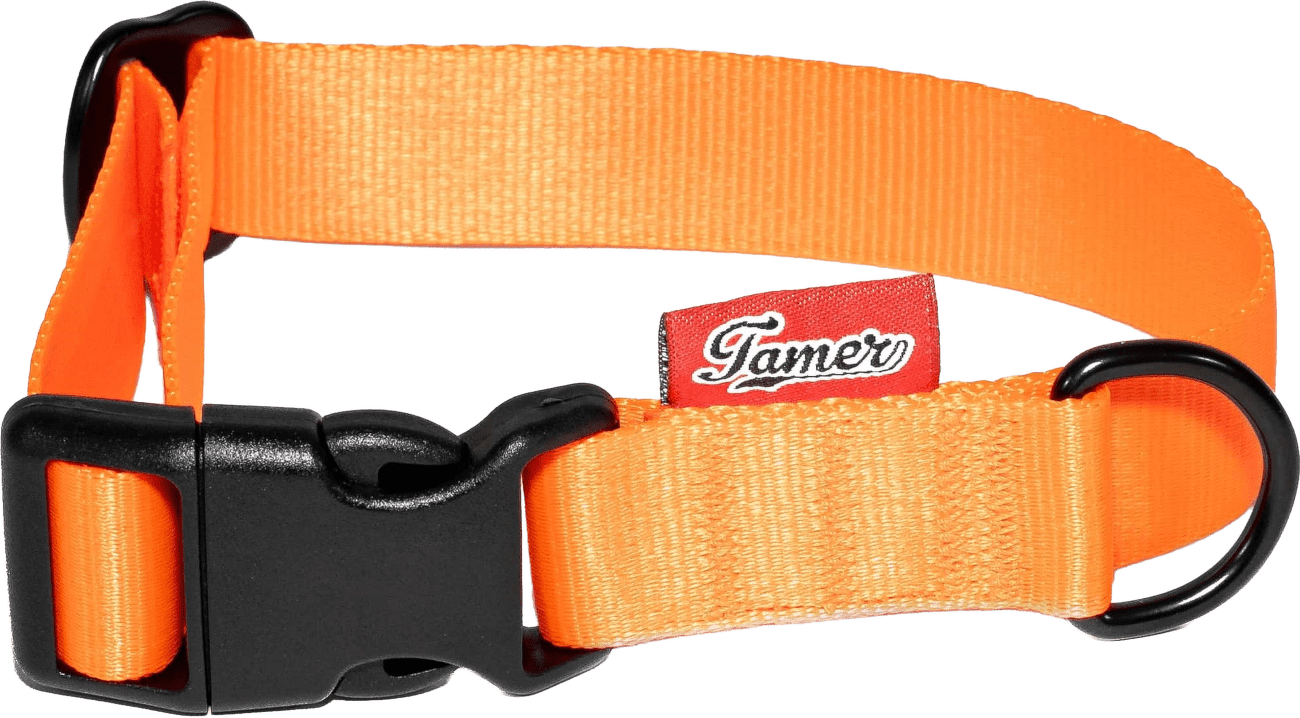 Obojek Tamer Simple 2,5 cm 28-43 cm oranžový