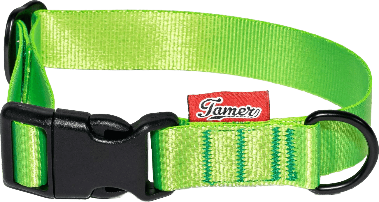 Obojek Tamer Simple 2,5 cm 28-43 cm zelený
