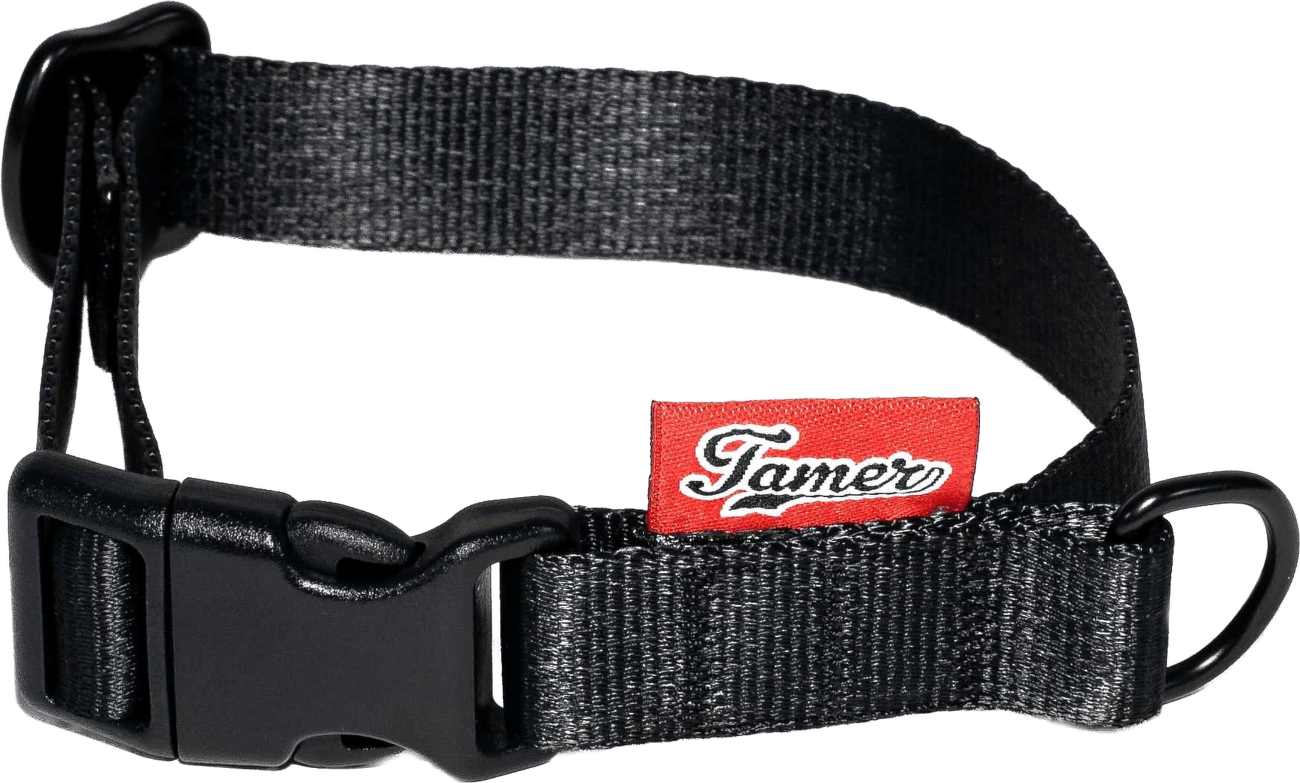 Obojek Tamer Simple 2 cm 24-36 cm černý