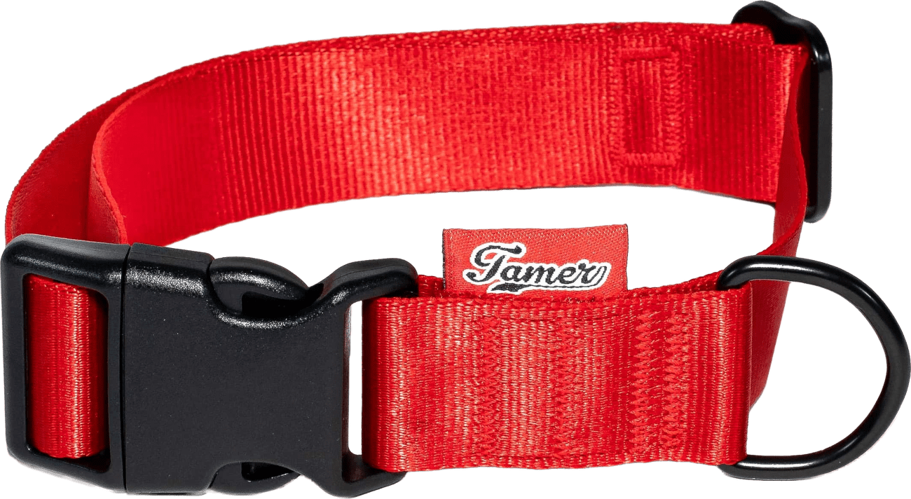Obojek Tamer Simple 3 cm 33-55 cm červený