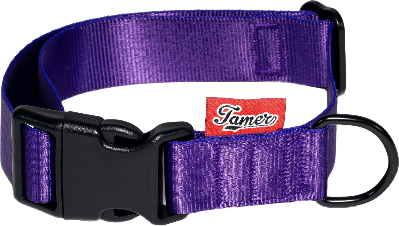 Obojek Tamer Simple 3 cm 33-55 cm fialový