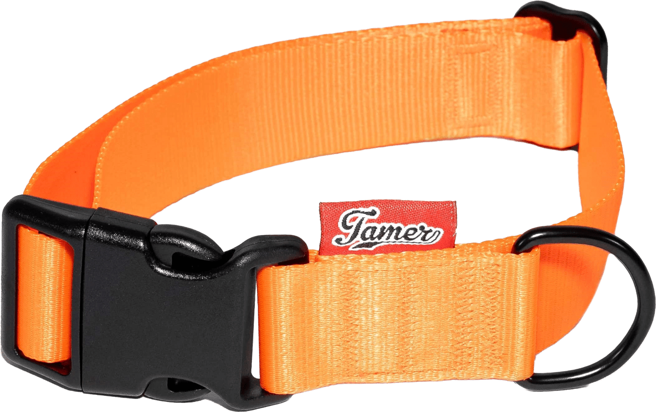 Obojek Tamer Simple 3 cm, 33-55 cm oranžový