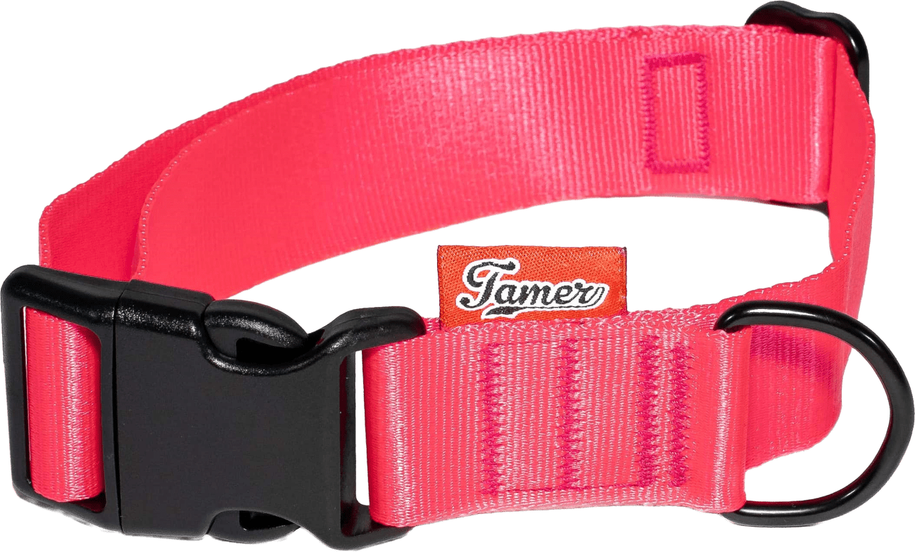 Obojek Tamer Simple 3 cm 33-55 cm růžový
