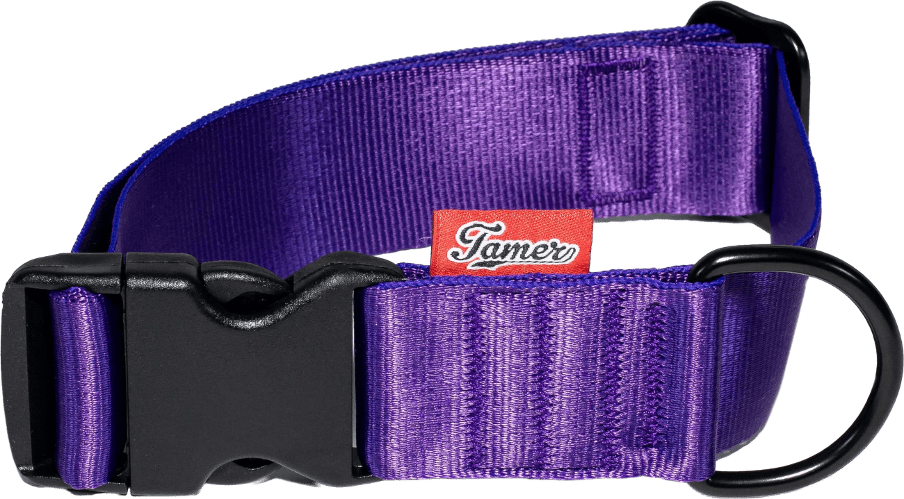 Obojek Tamer Simple 4 cm 33-55 cm fialový