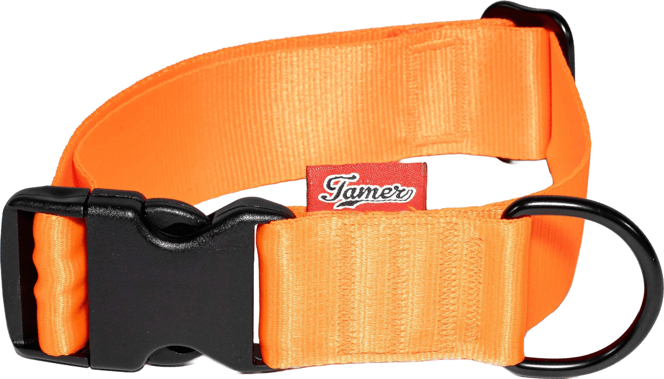 Obojek Tamer Simple 4 cm, 33-55 cm oranžový