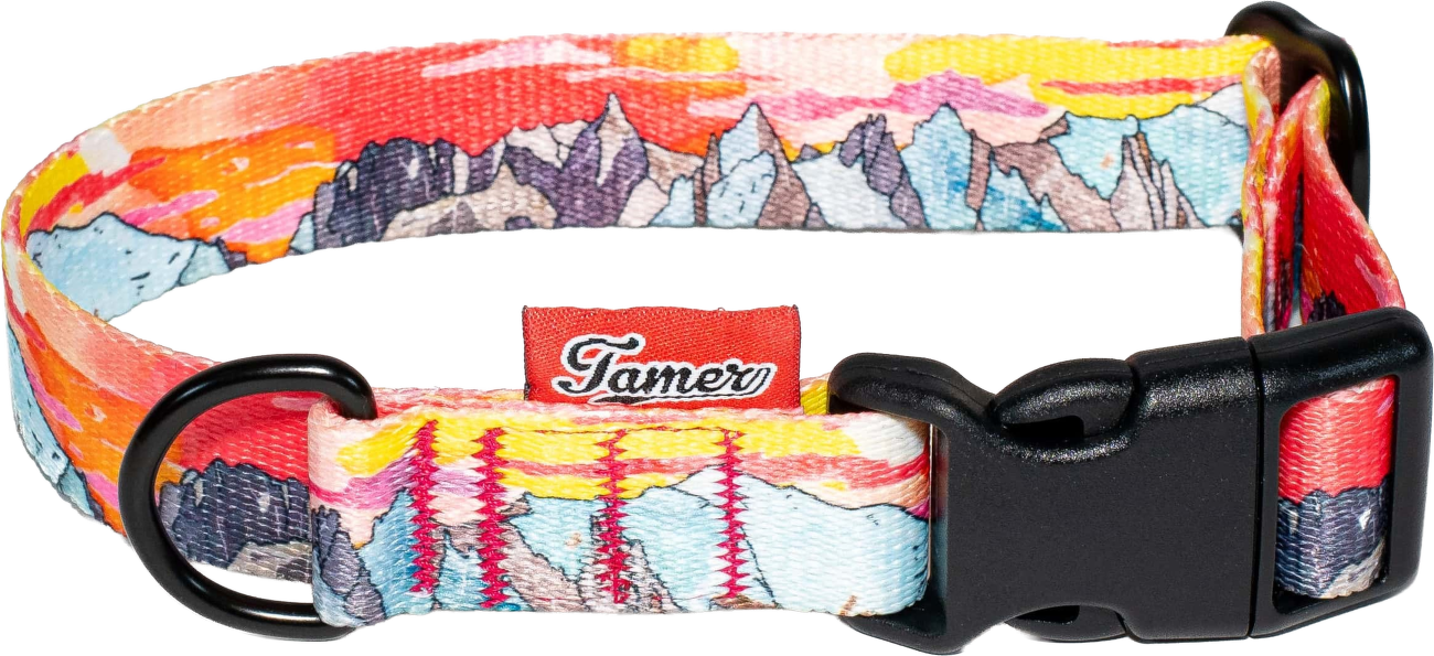 Obojek Tamer Simple Mont Blanc 2,5 cm 28-43 cm