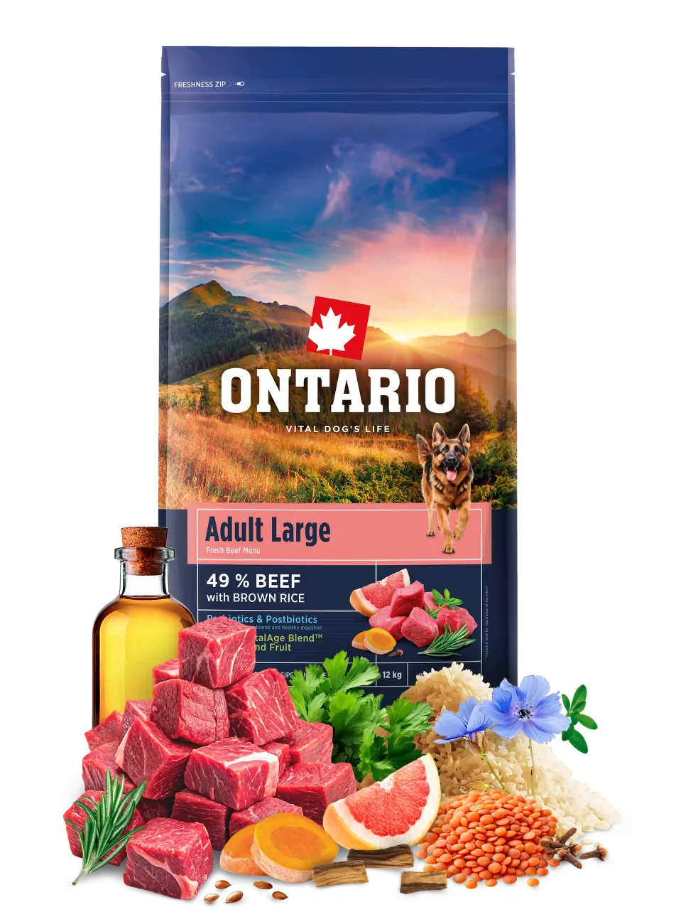 Ontario Adult Large Beef & Brown Rice 12kg