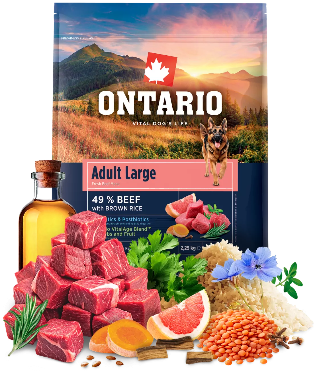 Ontario Adult Large Beef & Brown Rice 2,25kg