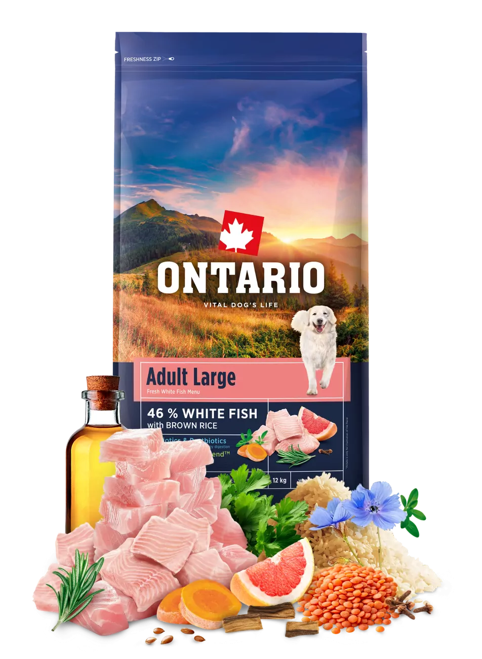 Ontario Adult Large Fish & Brown Rice 12kg