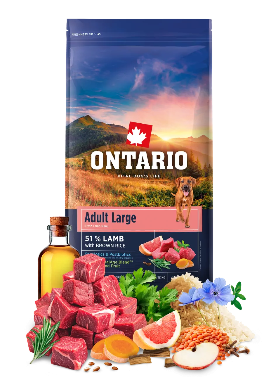 Ontario Adult Large Lamb & Brown Rice 12kg