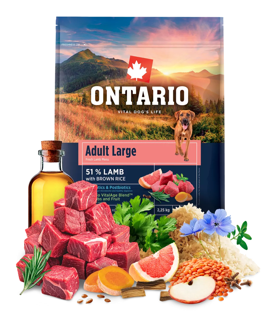 Ontario Adult Large Lamb & Brown Rice 2,25kg