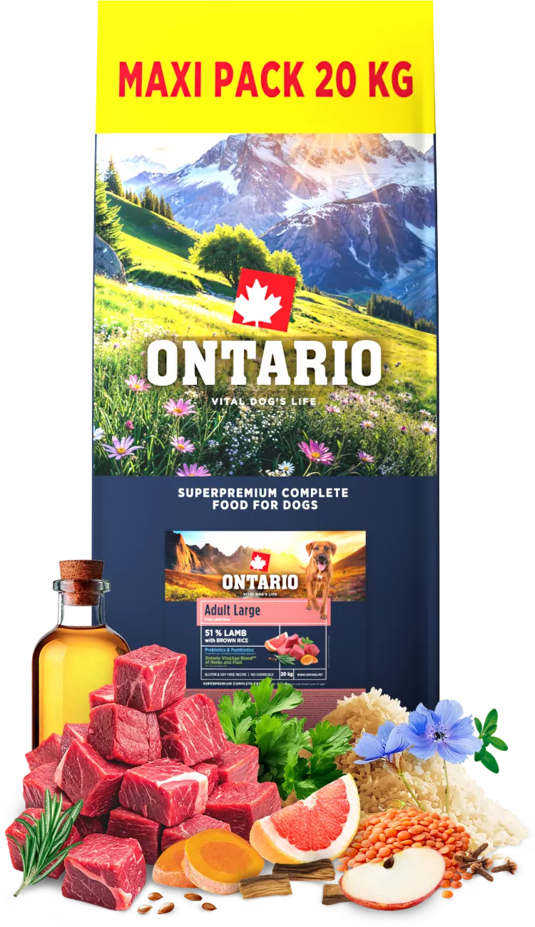 Ontario Adult Large Lamb & Brown Rice 20kg
