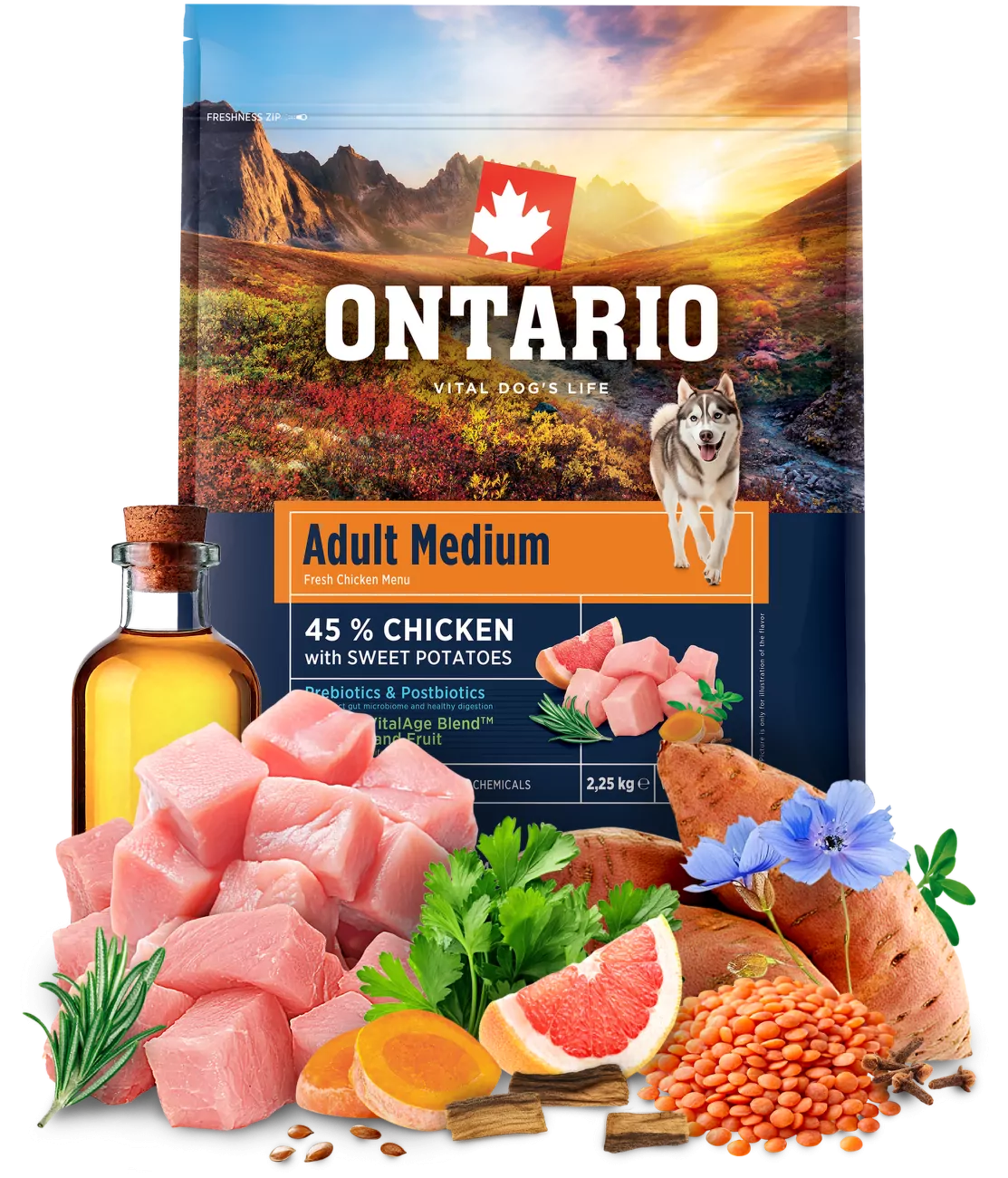 Ontario Adult Medium Chicken & Sweet Potatoes 2,25kg