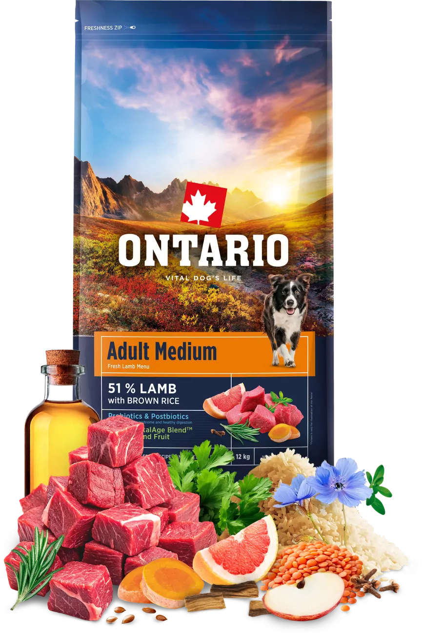 Ontario Adult Medium Lamb & Brown Rice 12kg