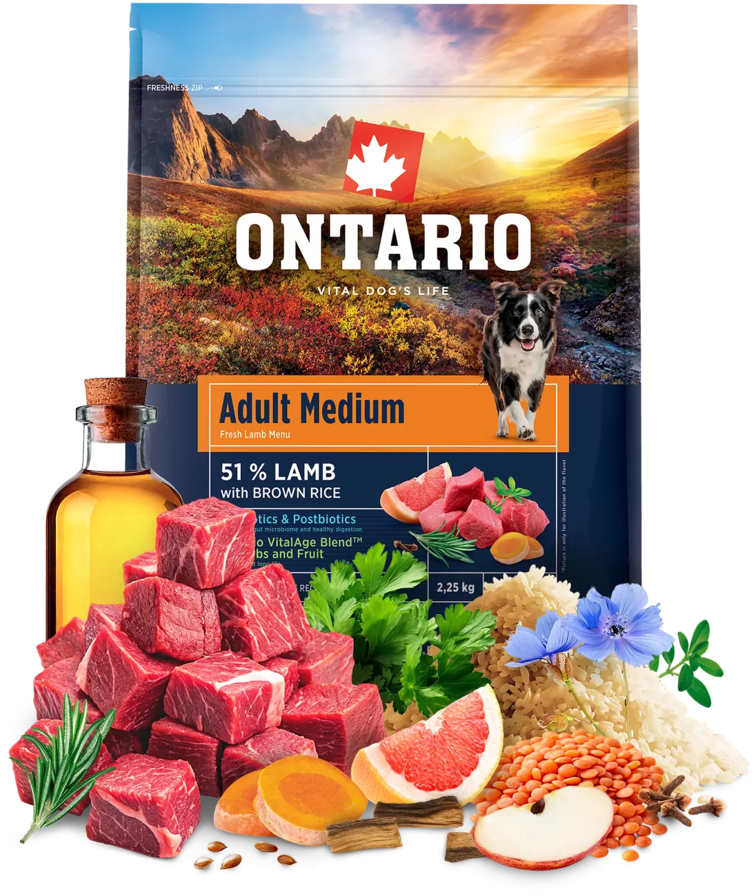 Ontario Adult Medium Lamb & Brown Rice 2,25kg