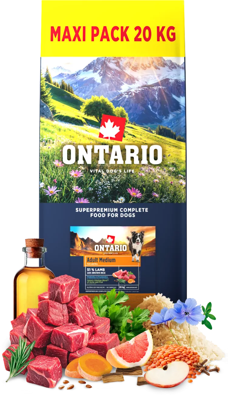 Ontario Adult Medium Lamb & Brown Rice 20kg