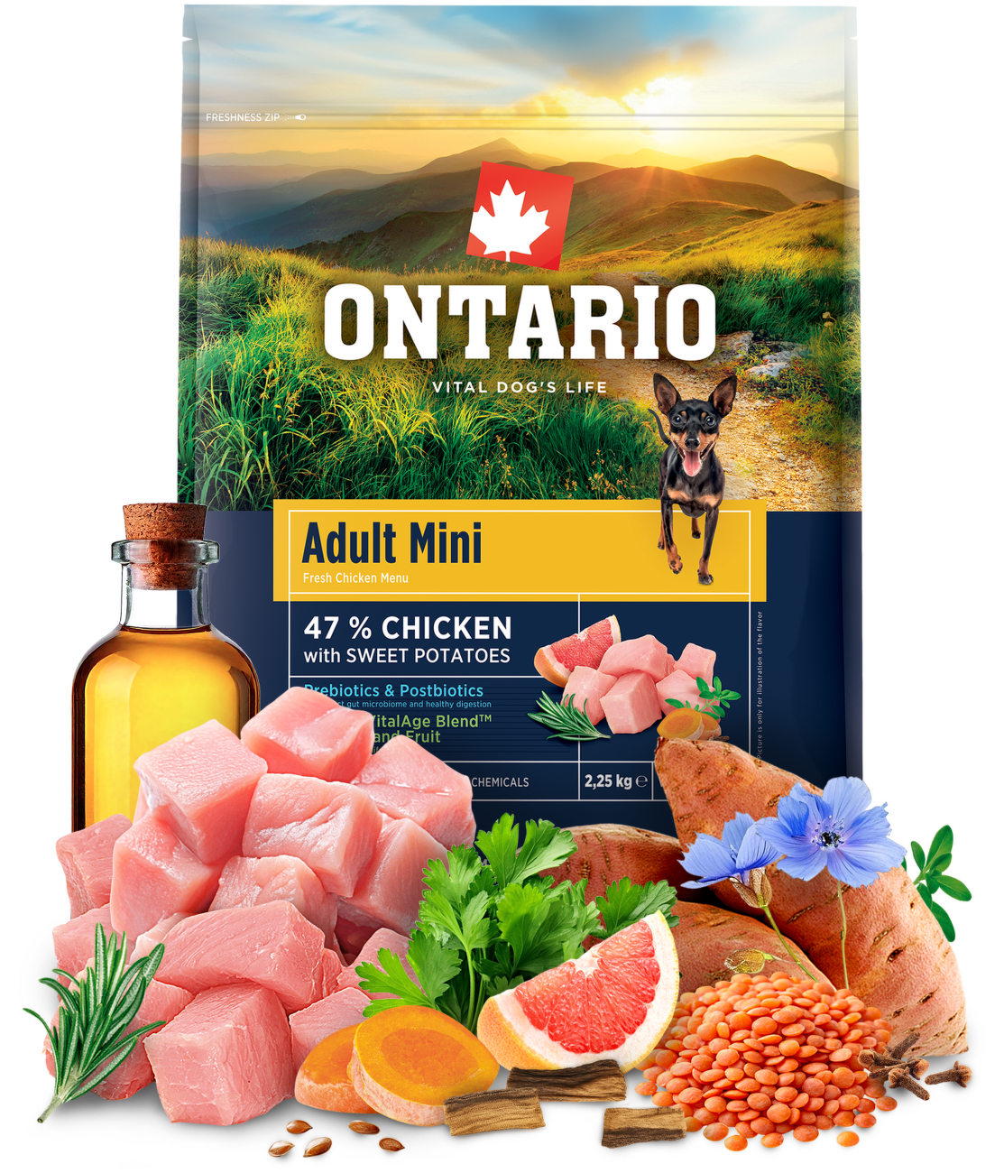 Ontario Adult Mini Chicken & Sweet Potatoes 2,25kg
