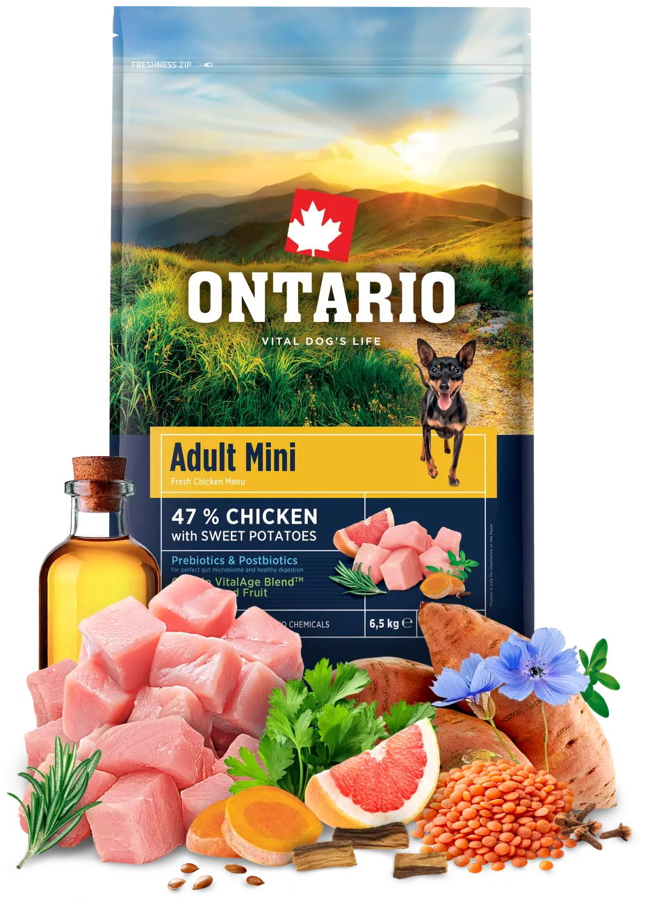 Ontario Adult Mini Chicken & Sweet Potatoes 6,5kg