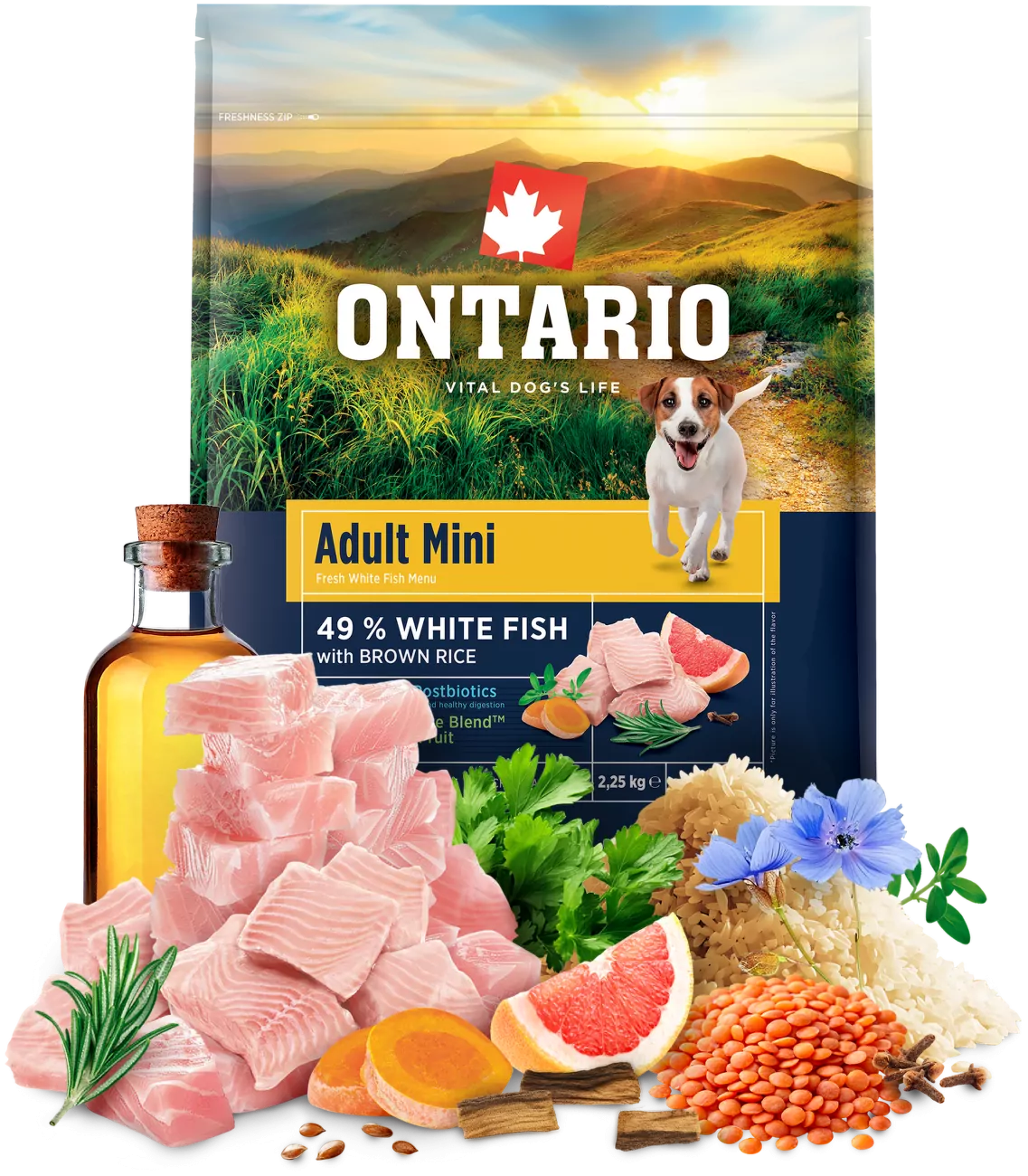 Ontario Adult Mini Fish & Brown Rice 2,25kg