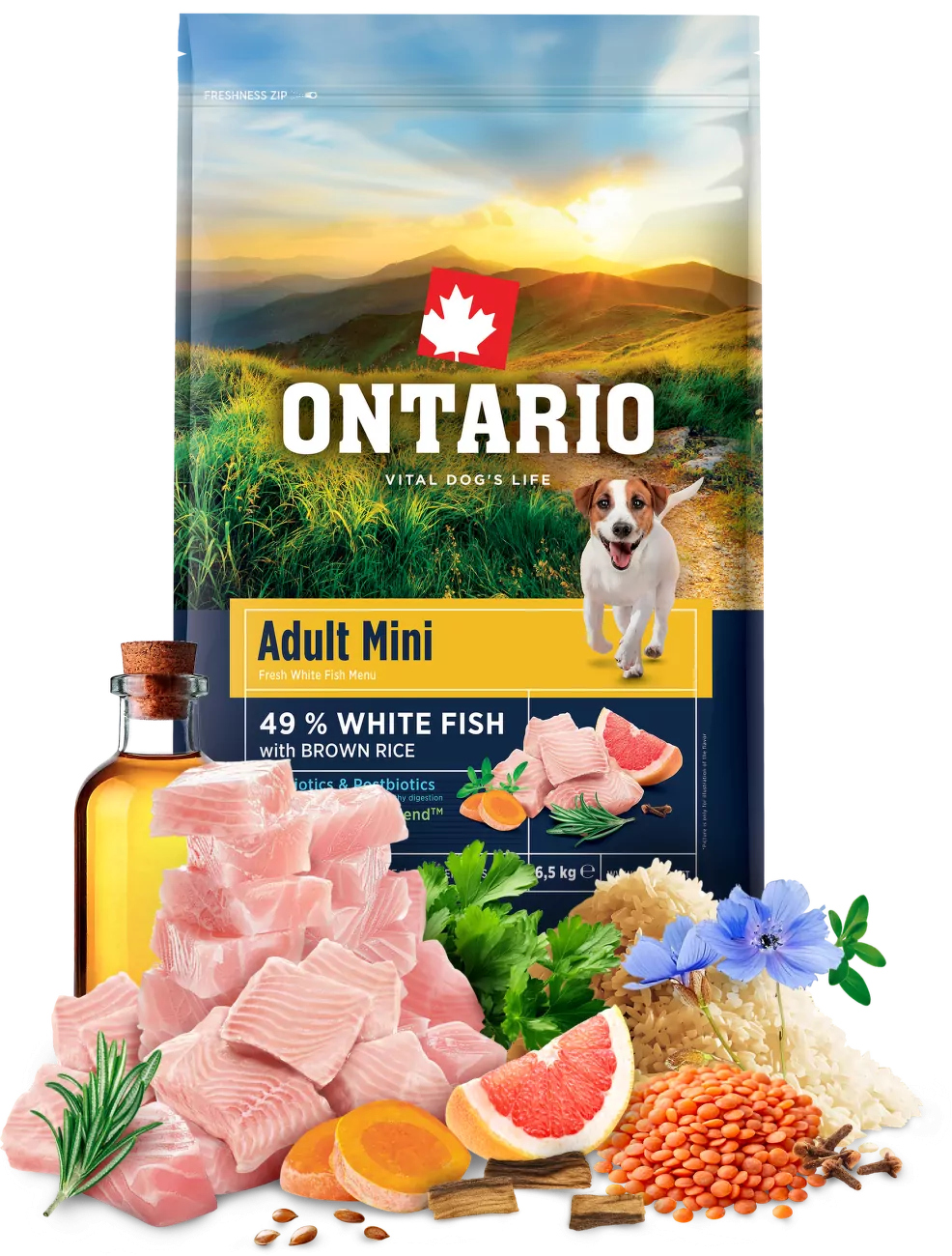 Ontario Adult Mini Fish & Brown Rice 6,5kg