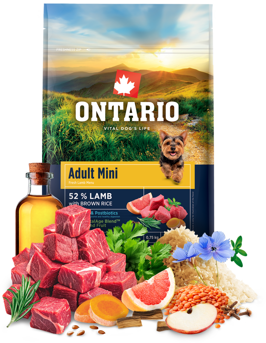 Ontario Adult Mini Lamb & Brown Rice 0,75kg