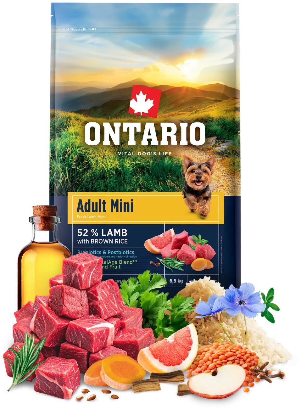 Ontario Adult Mini Lamb & Brown Rice 6,5kg