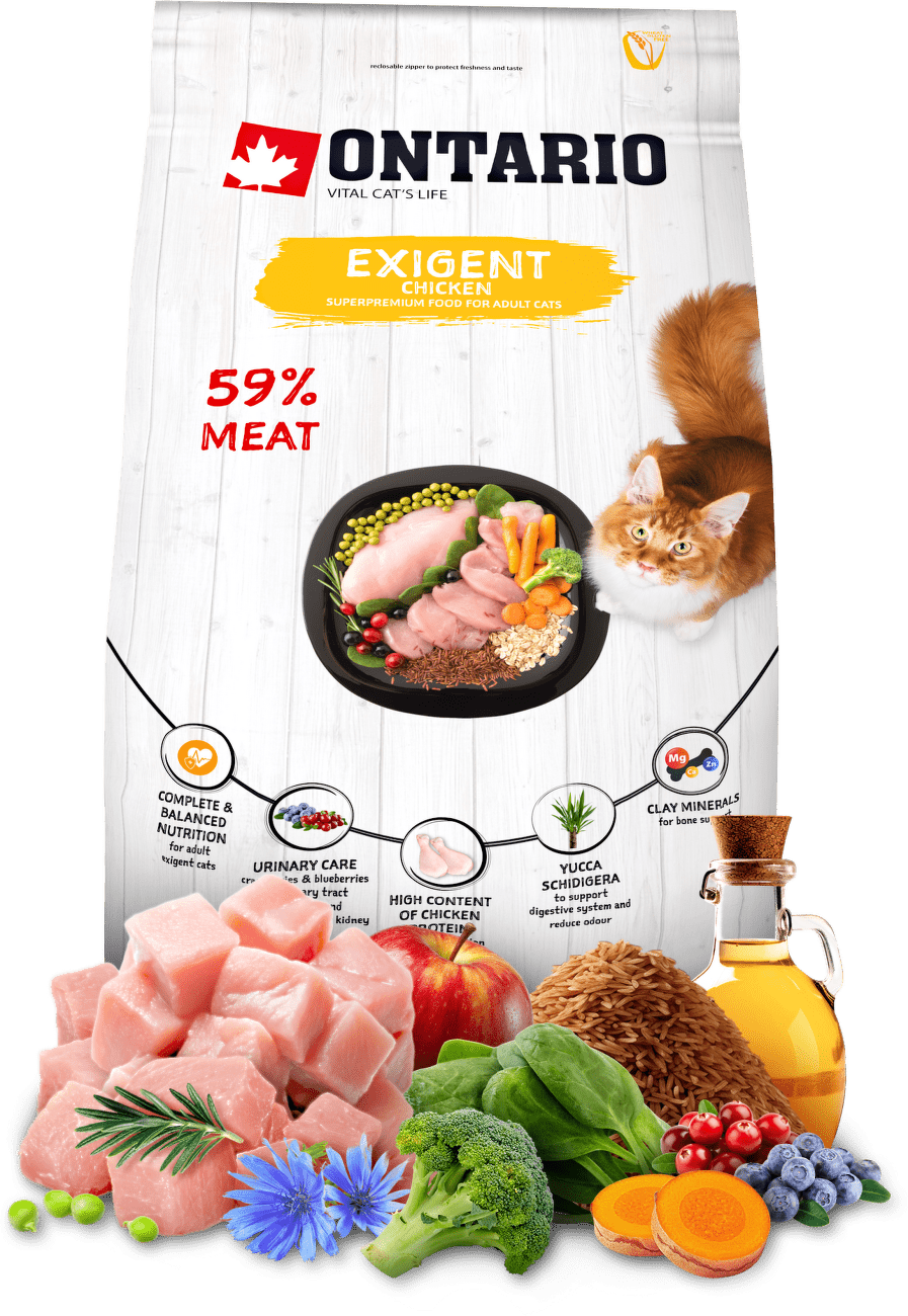 Ontario Cat Exigent 2kg