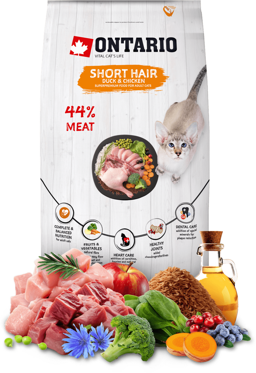 Ontario Cat Shorthair 6,5 kg