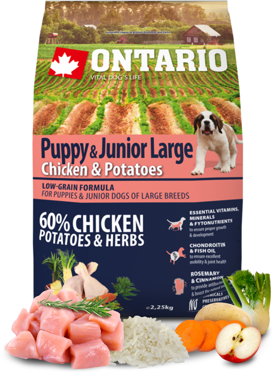 Ontario Puppy & Junior Large Chicken & Potatoes 2,25 kg