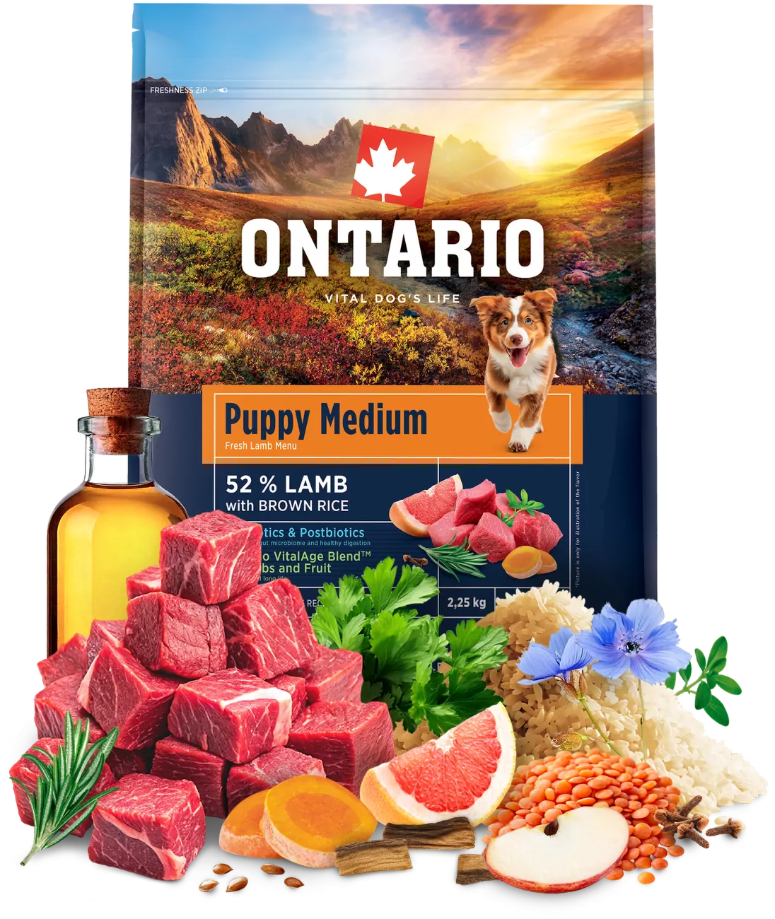 Ontario Puppy Medium Lamb & Brown Rice 2,25kg