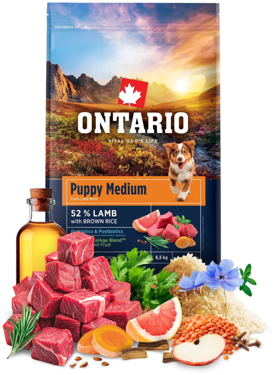 Ontario Puppy Medium Lamb & Brown Rice 6,5kg