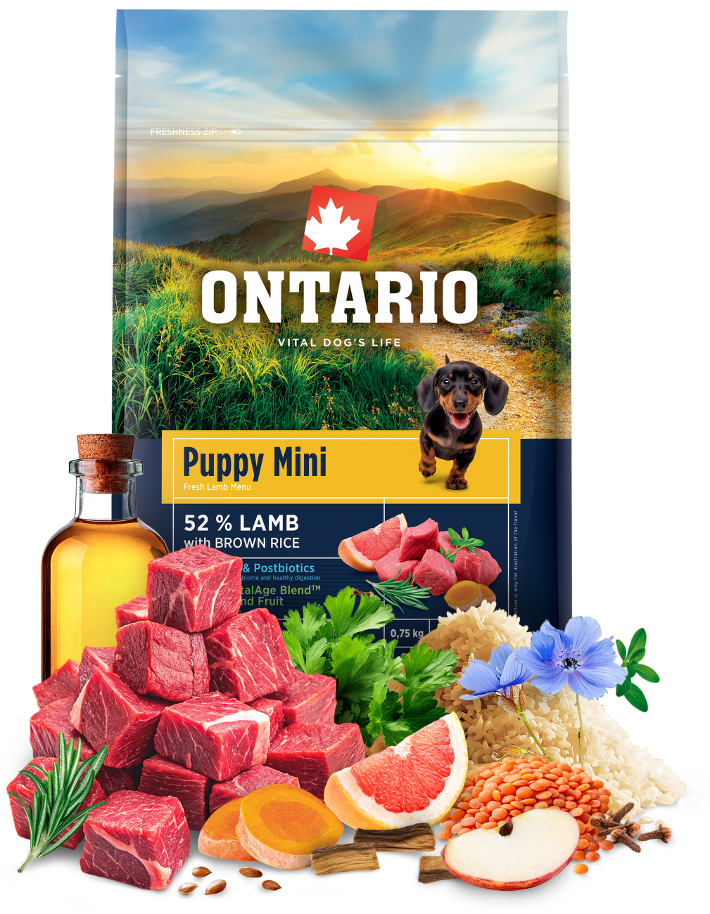 Ontario Puppy Mini Lamb & Brown Rice 0,75kg