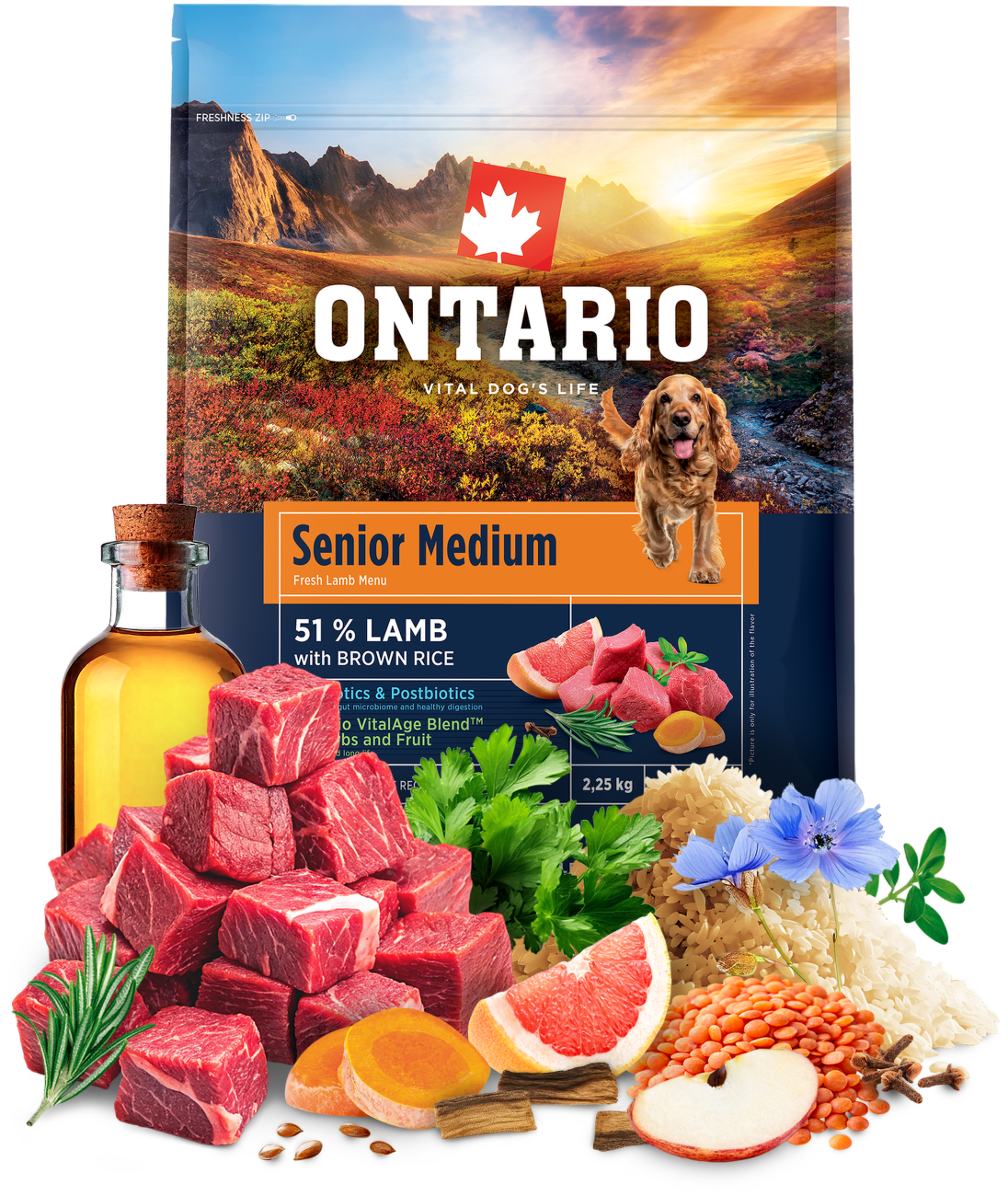Ontario Senior Medium Lamb & Brown Rice 2,25kg