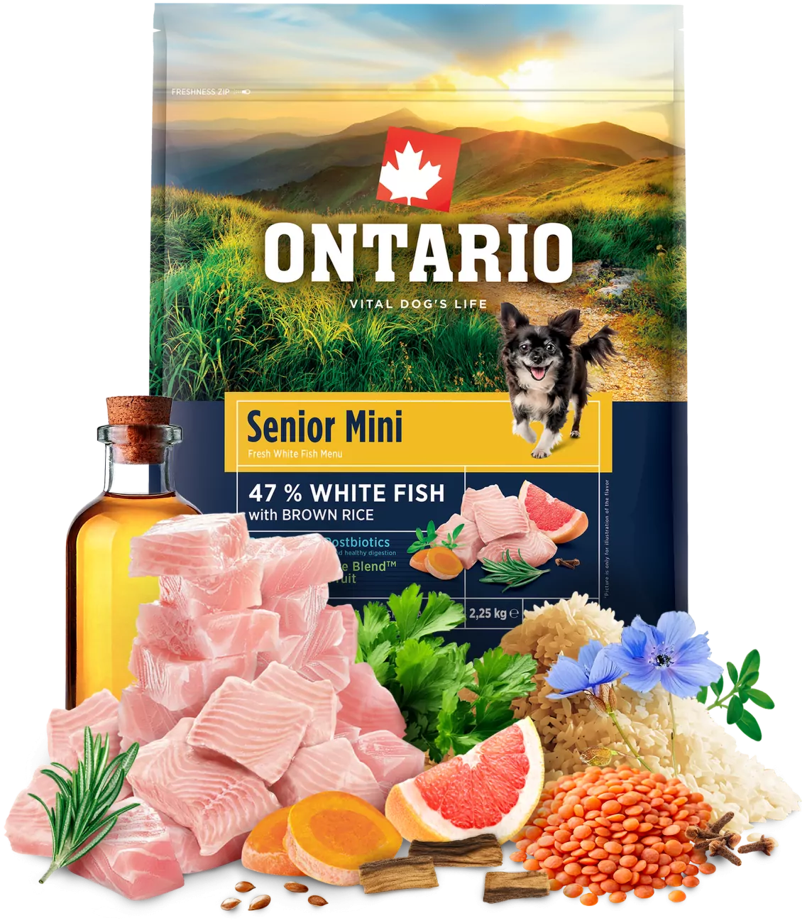 Ontario Senior Mini Fish & Brown Rice 2,25kg