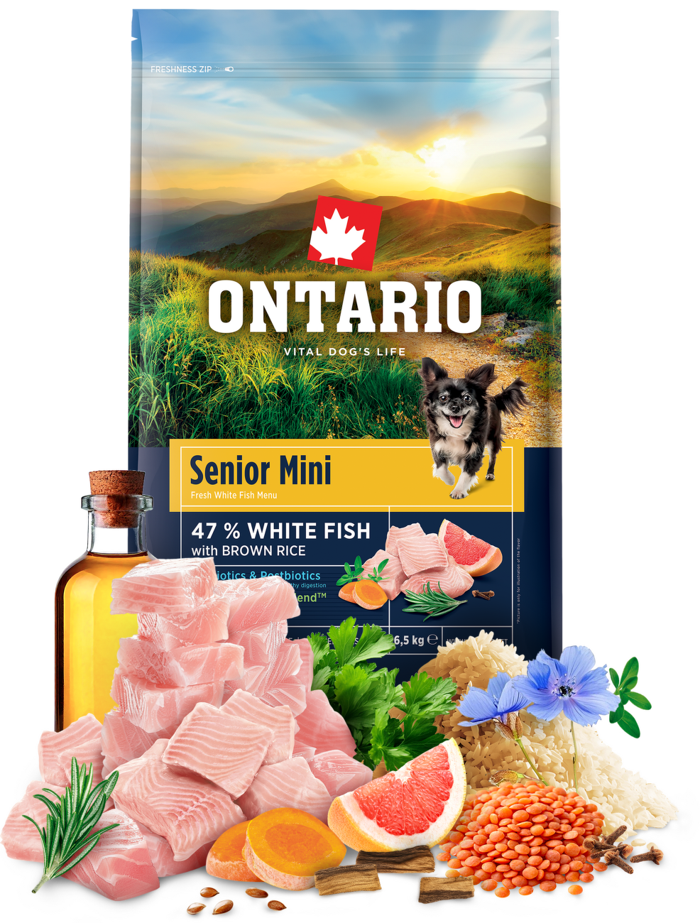 Ontario Senior Mini Fish & Brown Rice 6,5kg