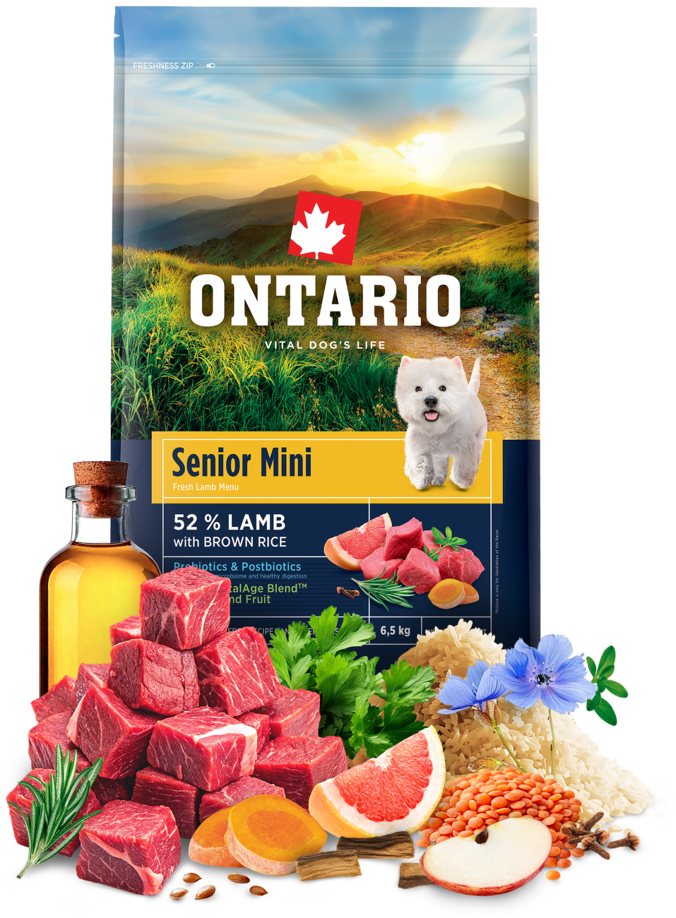 Ontario Senior Mini Lamb & Brown Rice 6,5kg