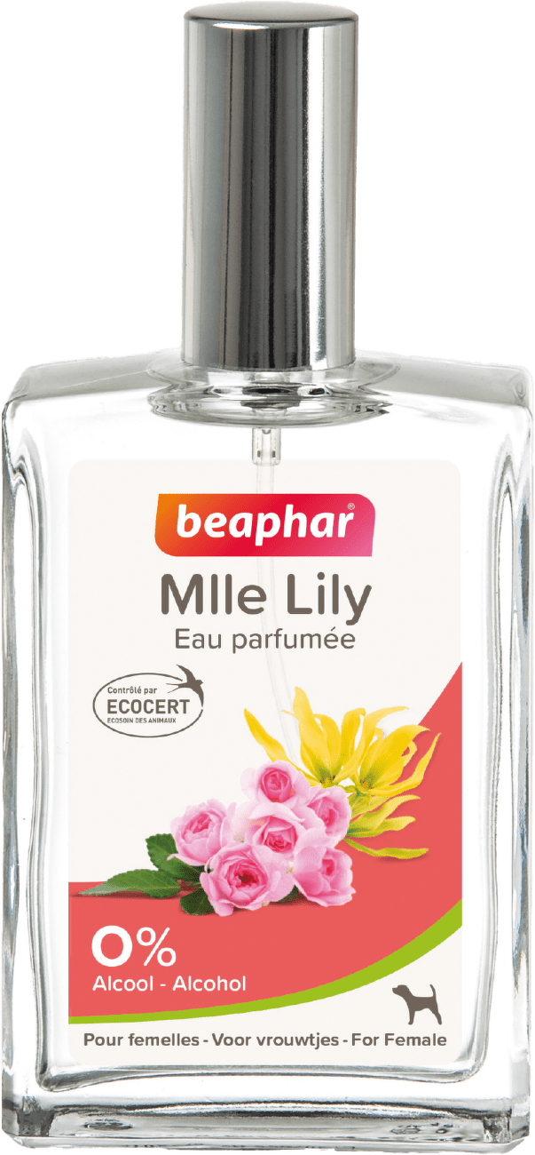 Parfém Beaphar pro feny 50ml