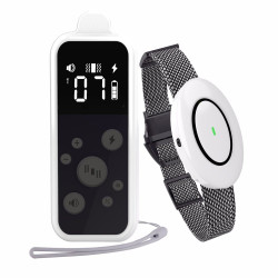 Patpet T250 | Elektronický výcvikový obojek