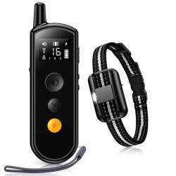 Patpet T504 | Elektronický výcvikový obojek