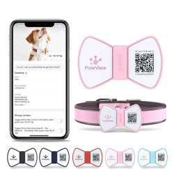 PawView chytrá známka pro psy pánský motýlek - růžová