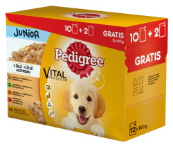 Pedigree kapsička 12 pack JUNIOR v ŽELÉ: Čtyři různé příchutě 1200 g
