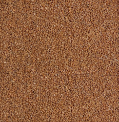 PetCenter písek hnědý 550 g