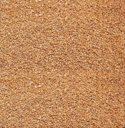 PetCenter písek oranžový 3000 g